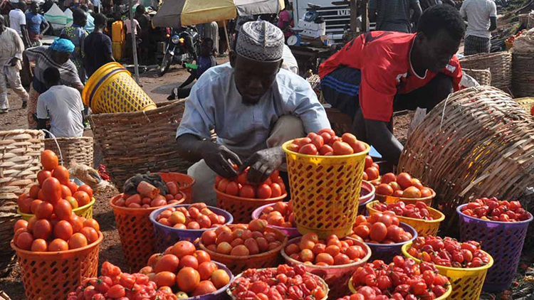 Nigeria News