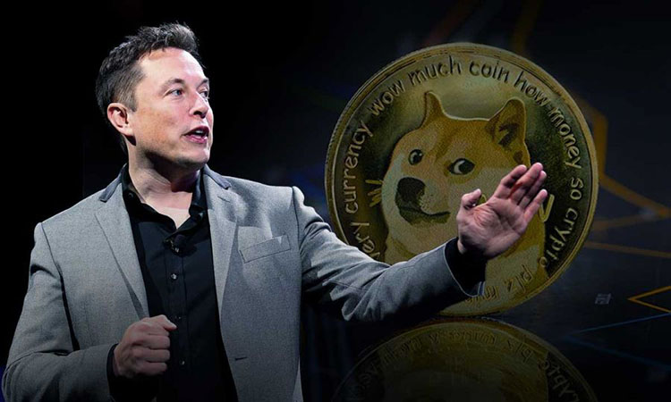 Elon mask pushes up crypto