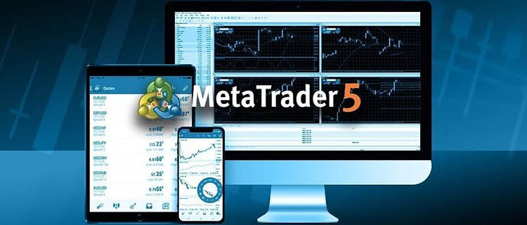 Forex MetaTrader 5 (MT5) terminal