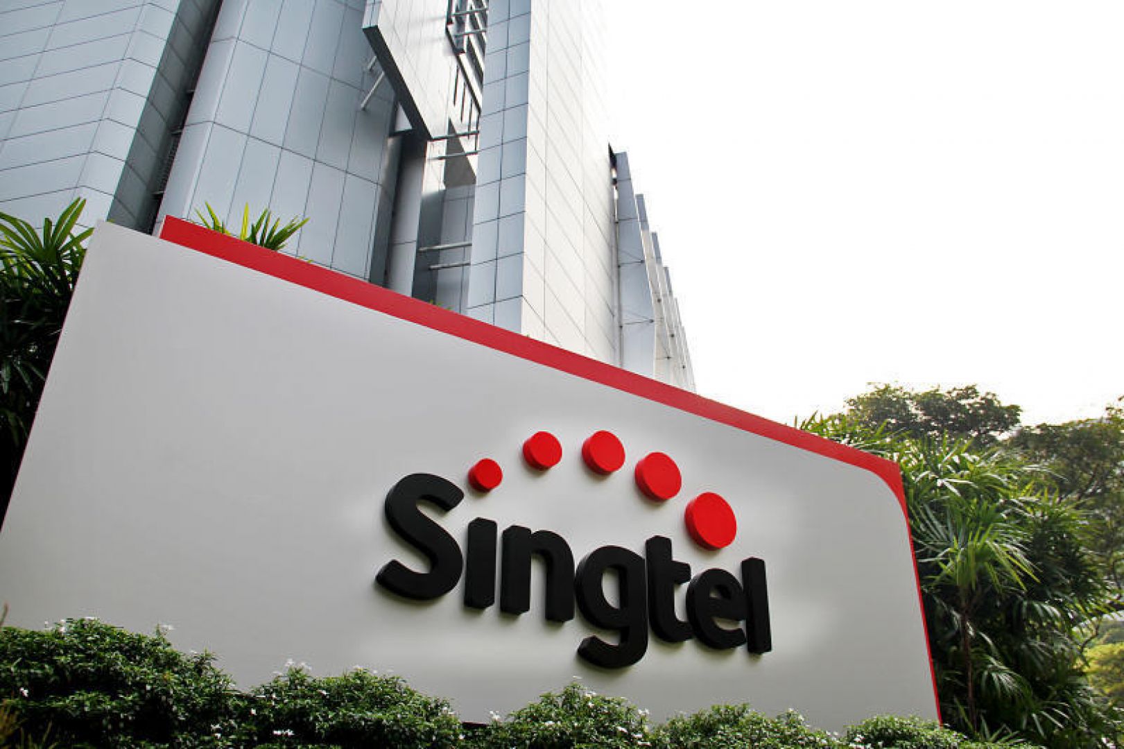 singtel shares dip