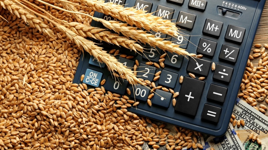 wheat prices decline record supply