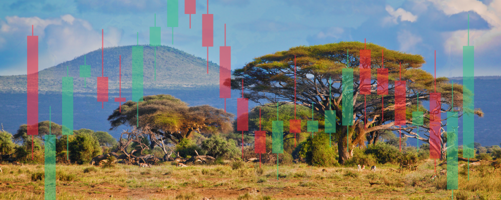 Why Forex is exploding in Africa