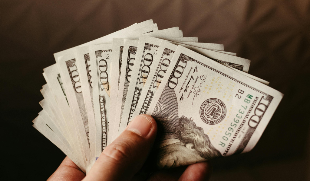 dollar losing share euro not winning ecb study