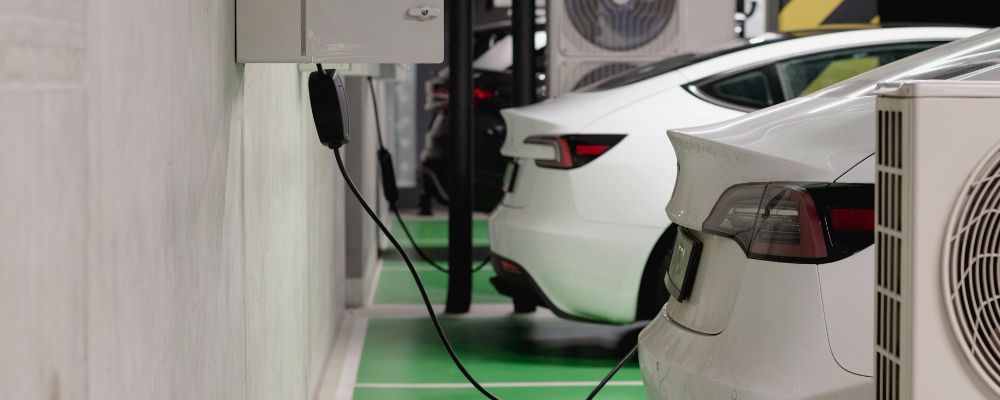 Tesla vs. BYD: a performance and metrics showdown